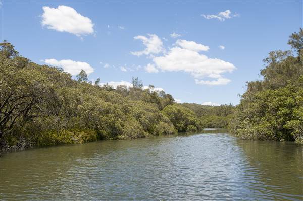 Georges River (5/12/2013)