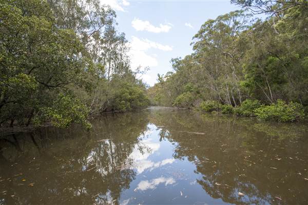 Georges River (5/12/2013)