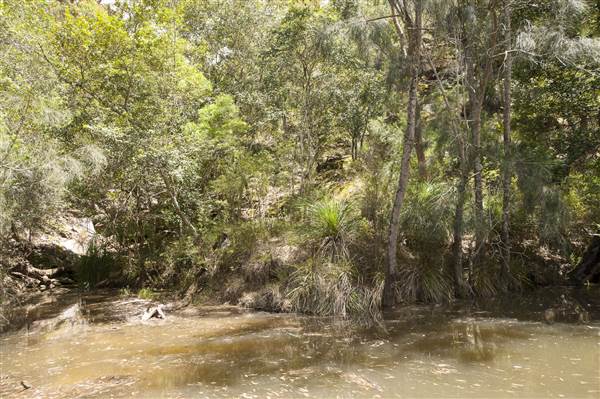 Georges River (5/12/2013)