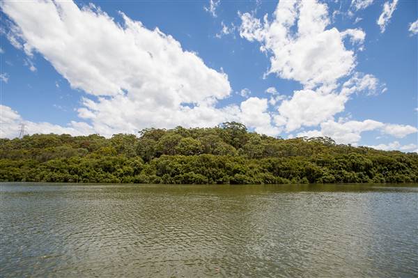 Georges River (5/12/2013)