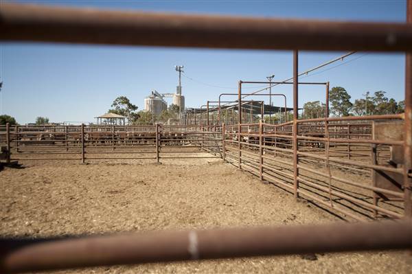 Coonamble (26/11/2013)