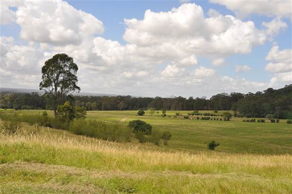 Scenic NSW Equine Centre (25/09/2013 - Credits: Ivy Carrano, Garth Birch)