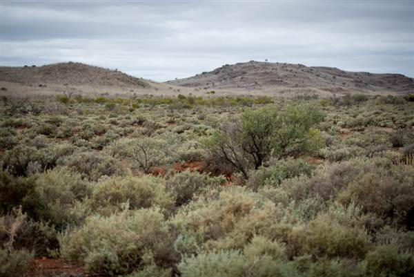 Broken Hill Sculptures Site and Living Desert (6/06/2013 - Credits: Colin McDougall)