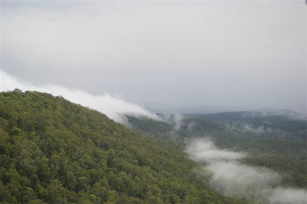 Bundjalung National Park (3/04/2014)