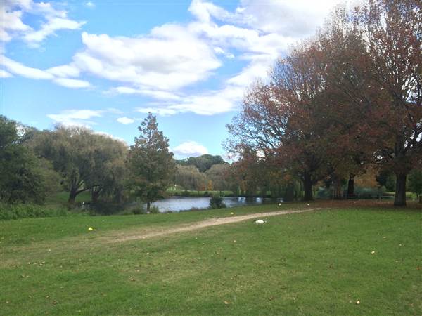 Centennial Park (25/06/2014)