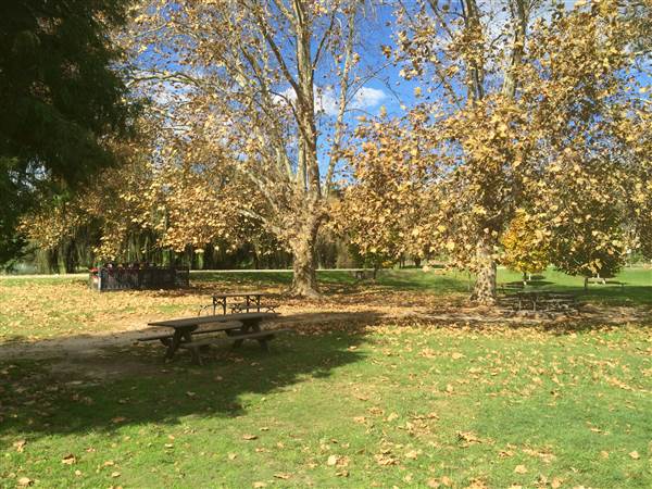 Centennial Park (25/06/2014)