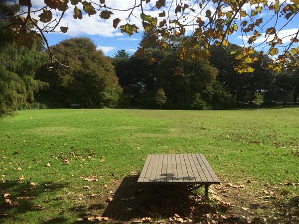 Centennial Park (25/06/2014)
