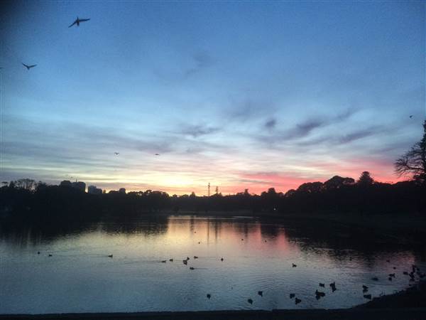 Centennial Park (25/06/2014)