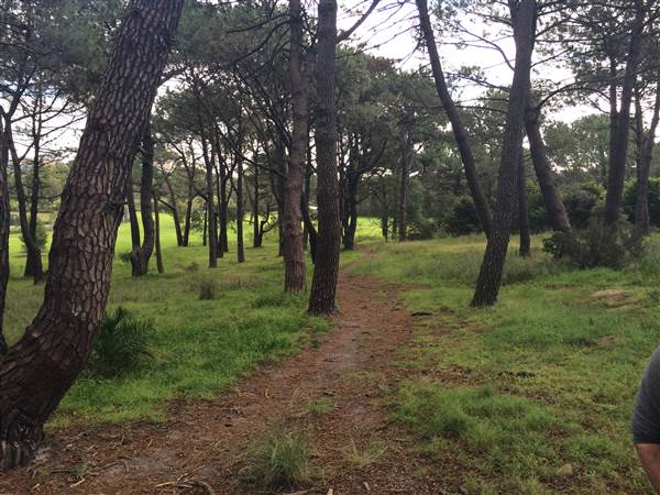 Centennial Park (25/06/2014)