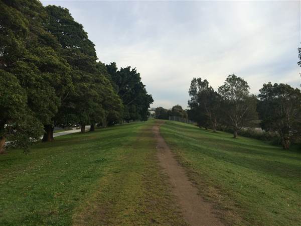Centennial Park (25/06/2014)