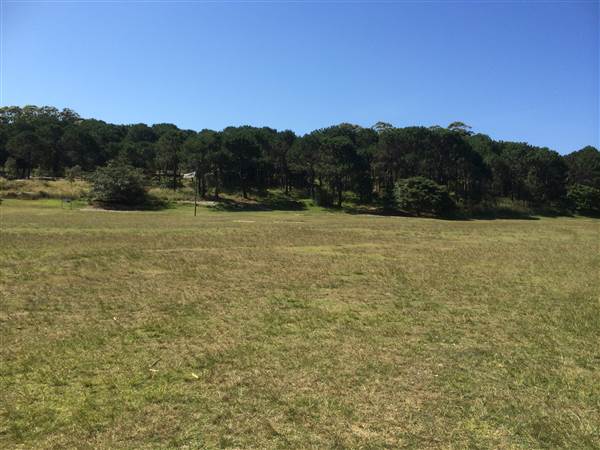 Centennial Park (25/06/2014)