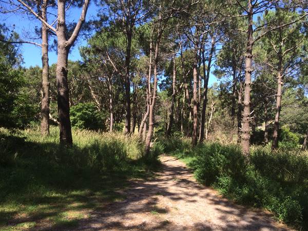 Centennial Park (25/06/2014)