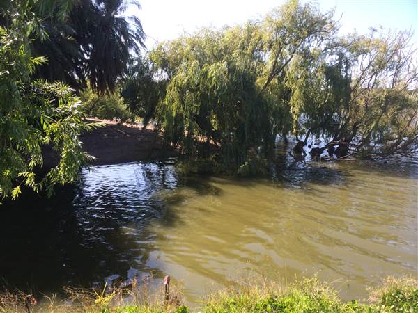 Centennial Park (25/06/2014)