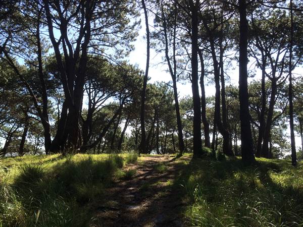 Centennial Park (25/06/2014)