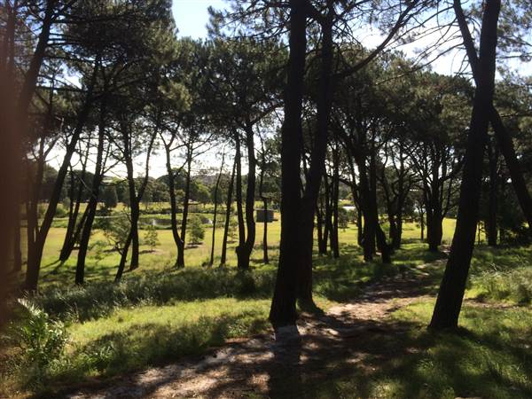Centennial Park (25/06/2014)