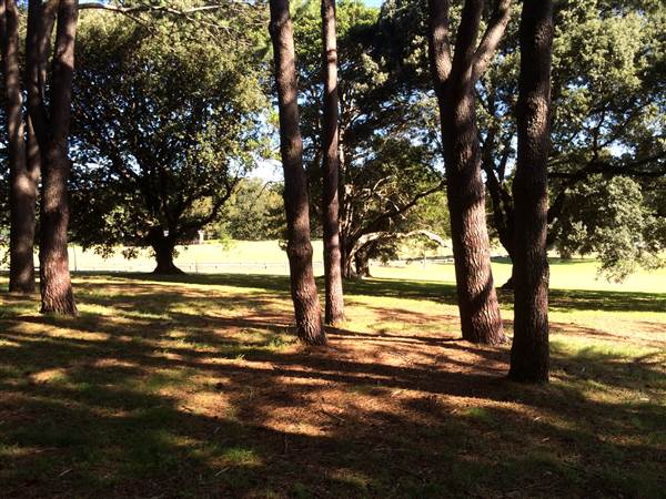 Centennial Park (26/06/2014)