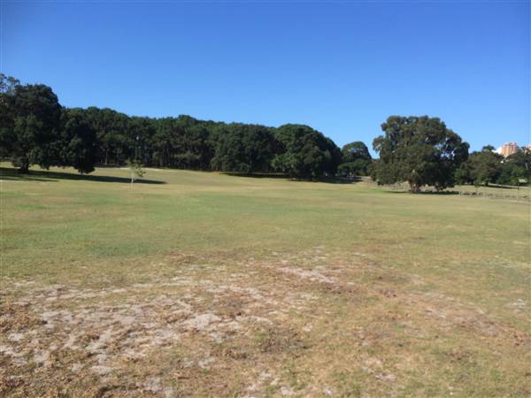 Centennial Park (26/06/2014)