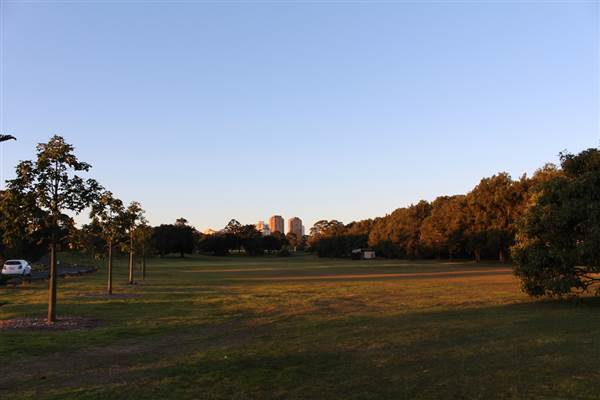 Centennial Park - Loch Ave South (7/07/2014)