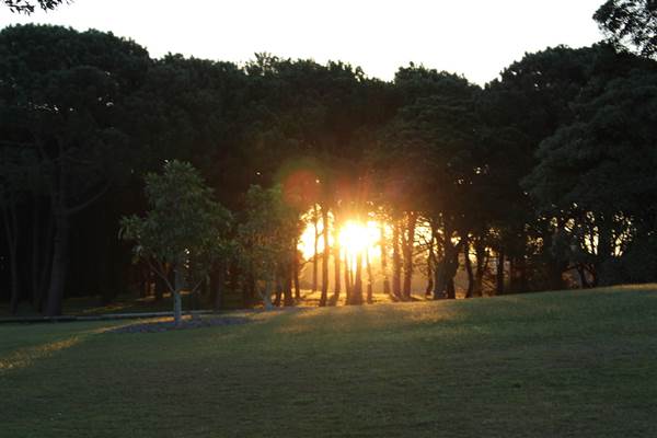 Centennial Park - Loch Ave South (7/07/2014)