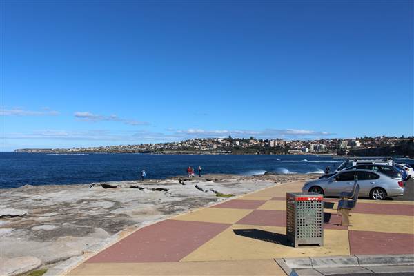 Clovelly Beach (7/07/2014)