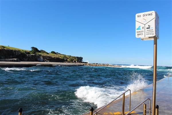 Clovelly Beach (7/07/2014)