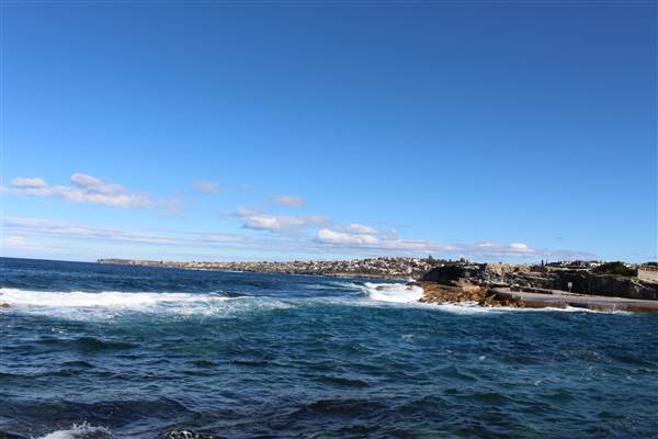 Clovelly Beach (7/07/2014)
