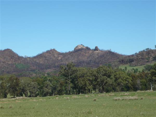 WARRUMBUNGLE SHIRE (1/08/2014)