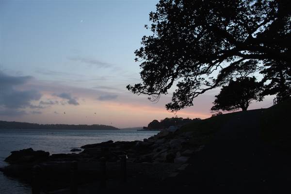 Mrs. Macquarie's Point - Royal Botanic Garden Sydney (24/10/2014)