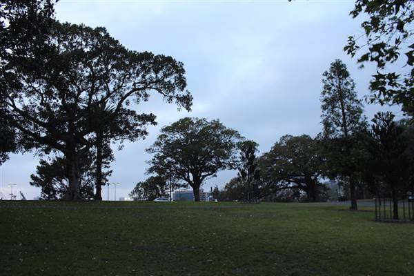 Mrs. Macquarie's Point - Royal Botanic Garden Sydney (24/10/2014)