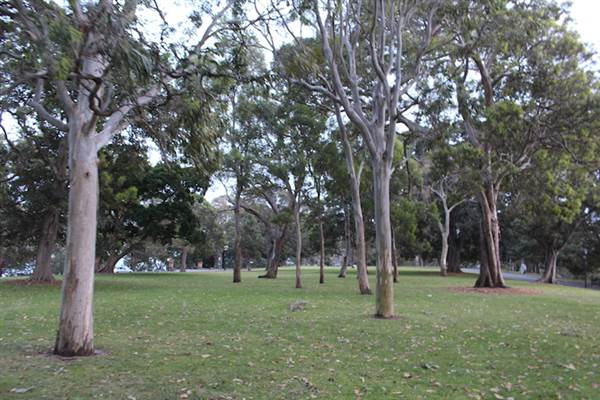 Mrs. Macquarie's Point - Royal Botanic Garden Sydney (24/10/2014)