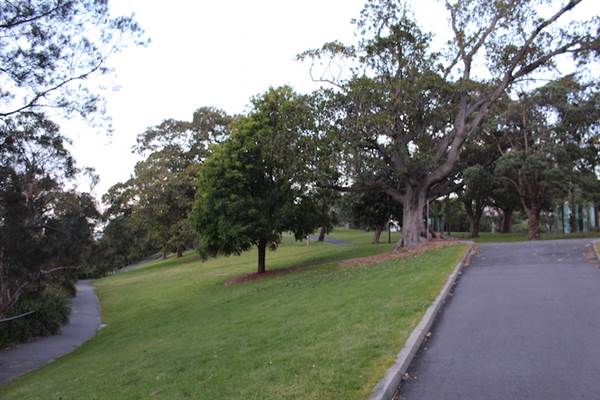 Mrs. Macquarie's Point - Royal Botanic Garden Sydney (24/10/2014)