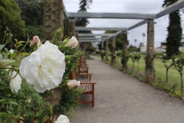 Rose Garden & Pavilion - Royal Botanic Garden Sydney (24/10/2014)