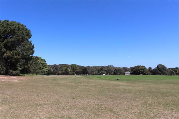 Centennial Park - Brazilian Fields (24/10/2014)