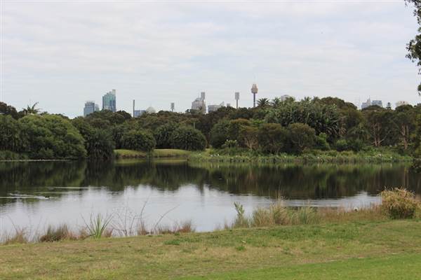 Centennial Park - Church Grounds (24/10/2014)