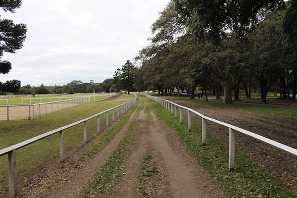 Centennial Park - Equestrian Grounds (24/10/2014)