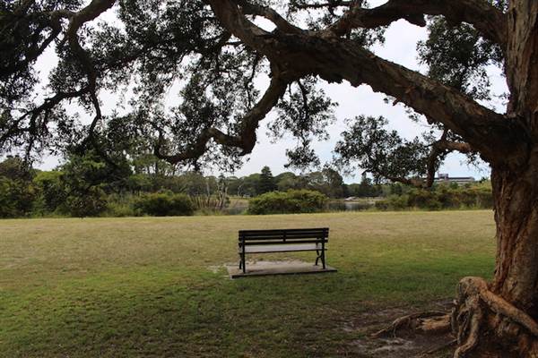 Centennial Park - Lachlan Swamp (24/10/2014)