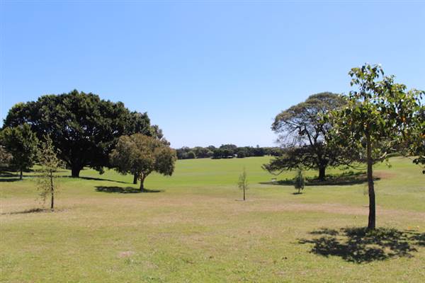 Centennial Park - Queens Park (24/10/2014)