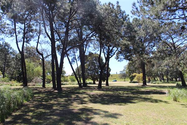 Centennial Park - Sandstone Ridge (24/10/2014)