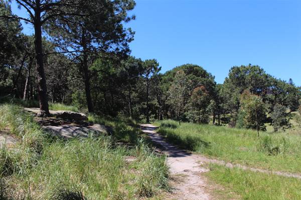 Centennial Park - Sandstone Ridge (24/10/2014)