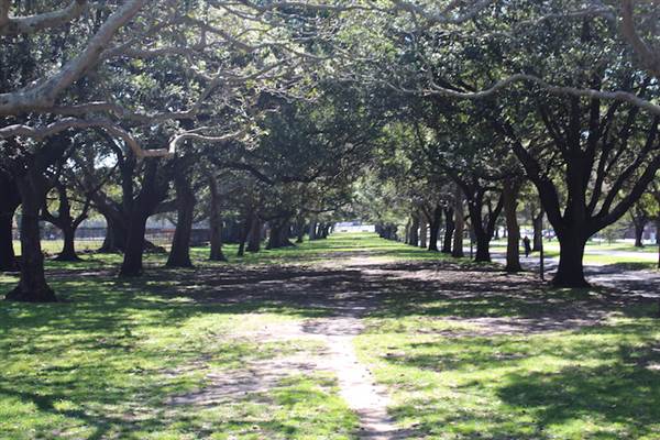Centennial Park - Federation Way (24/10/2014)