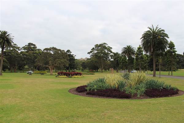 Centennial Park - Frog Hollow (24/10/2014)