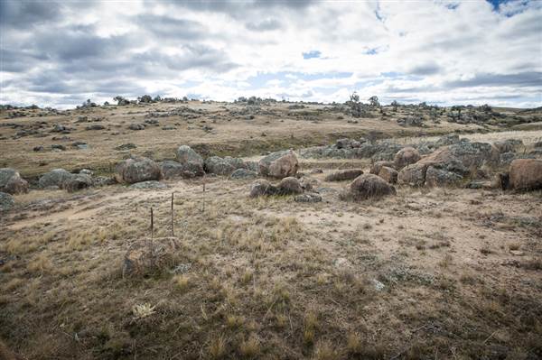 Monaro Plains (14/11/2014 - Credits: Colin McDougall)