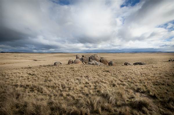 Monaro Plains (14/11/2014 - Credits: Colin McDougall)