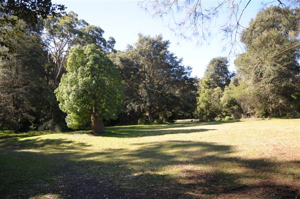 Fagan Park (24/02/2015 - Credits: Phillip Roope)