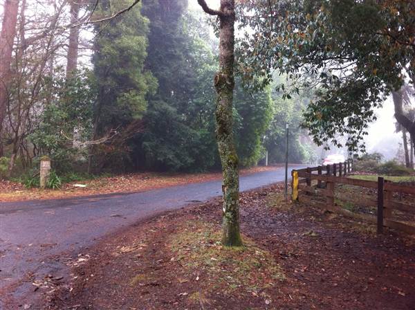 Mount Wilson Roads (24/02/2015 - Credits: Phillip Roope)