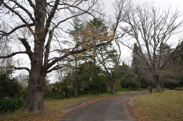 Hillview Heritage Hotel - Southern Highlands (25/05/2011 - Credits: Phillip Roope)