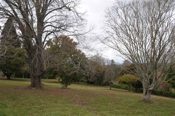 Hillview Heritage Hotel - Southern Highlands (25/05/2011 - Credits: Phillip Roope)