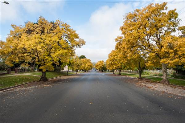 Crookwell (12/03/2015)