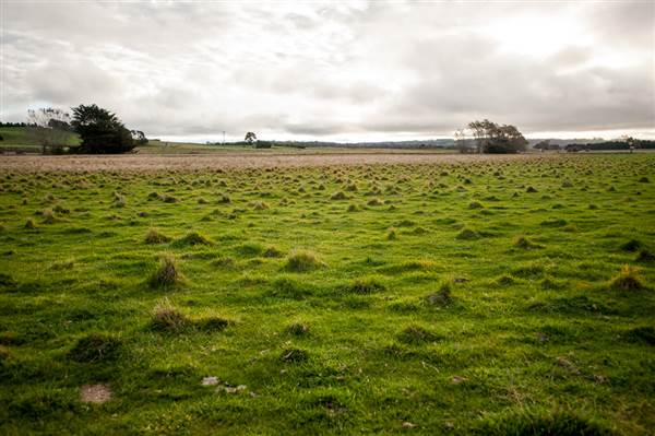 Crookwell (12/03/2015)