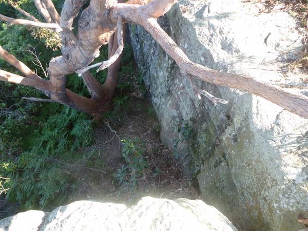 Middle Head Fortifications (13/03/2015)